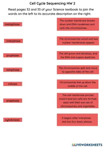 Cell Cycle Sequencing HW2