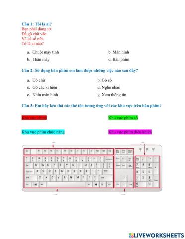 Bài tập Tin học - Lớp 3 - Tuần 10