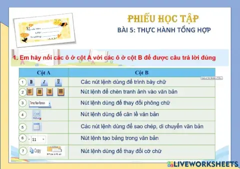 Lớp 5-CĐ2-Bài 5-Thực hành tổng hợp