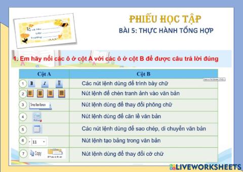 Lớp 5-CĐ2-Bài 5-Thực hành tổng hợp