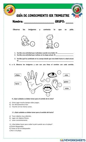 Guía de conocimiento 1er trimestre