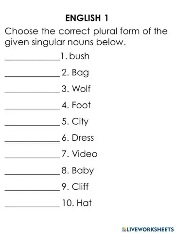 Plural Nouns