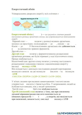 Енергетичний обмін