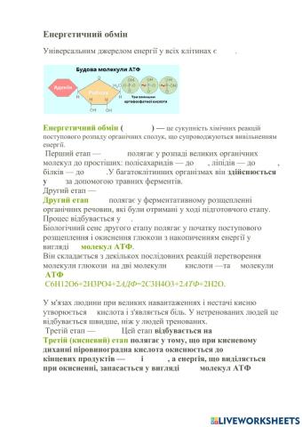 Енергетичний обмін