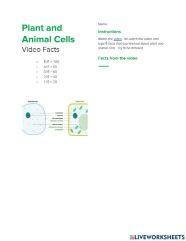 Plant and Animal Cells Video Facts