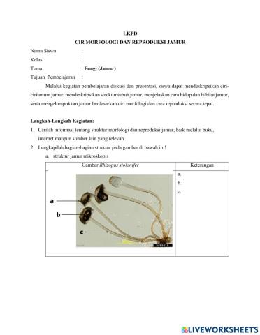 Lkpd - jamur