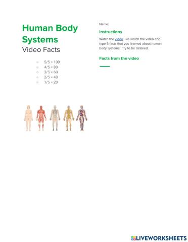 Human Body Systems Video Facts