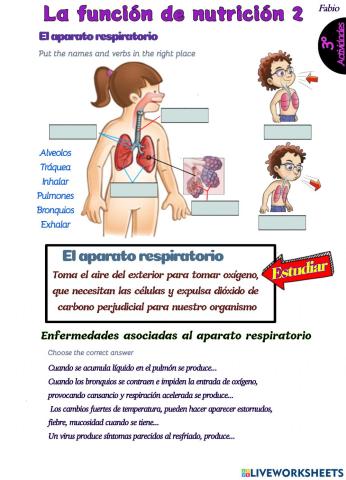 3 respi fabio