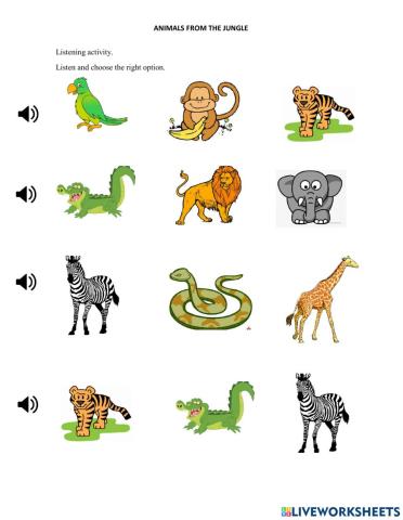 Animals from the jungle