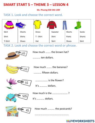 Smart start 5 - theme 3 - lesson 4