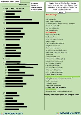 Balance sheet Format OF Company