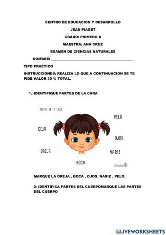 Exmen de ciencias naturales