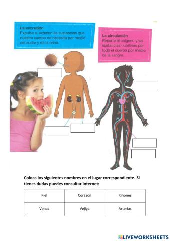 Función de nutrición