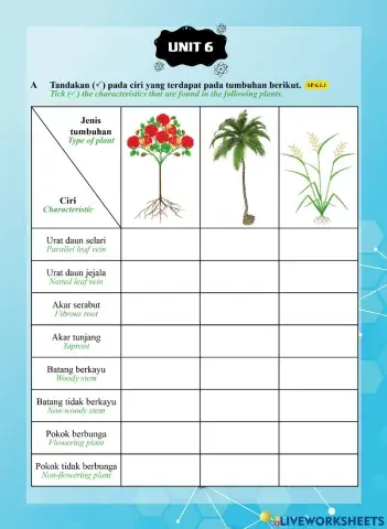 Tutor Sukses 2023 - 24 Sains Tahun 1-Unit 6