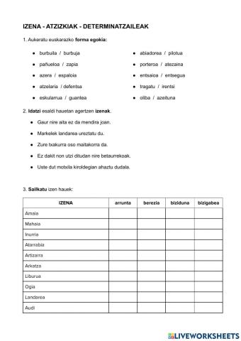 Izena - atzizkiak - determinatzaileak