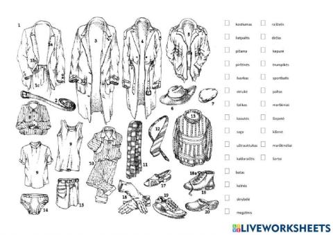 Vyriški drabužiai (žodynas)