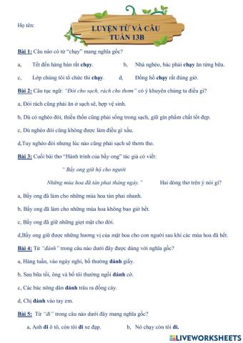 Tuần 13B - LTVC - Ngô Huyền