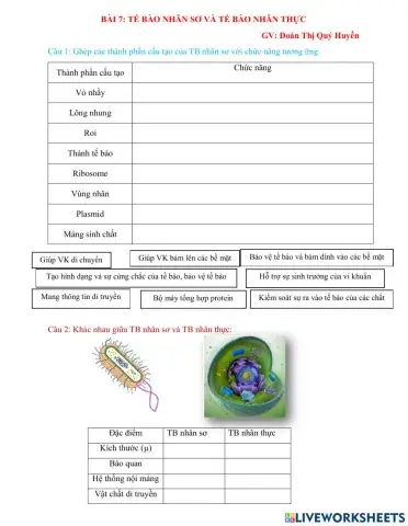 Bài 7: tế bào nahan sơ và tế bào nhân thực