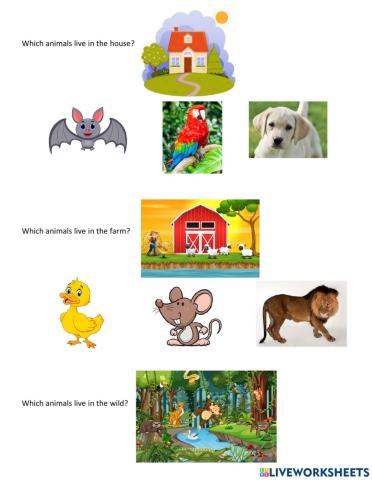 Which animals live in the wild?
