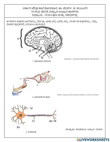 Control and coordination