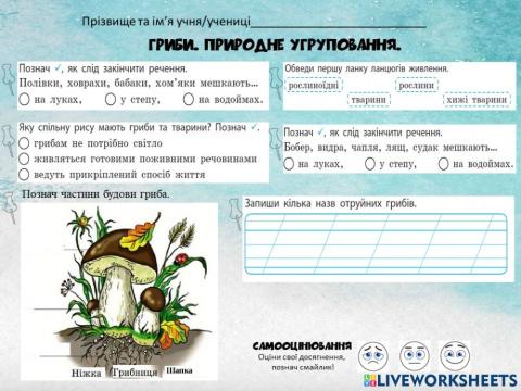 Гриби. Природні угруповання.