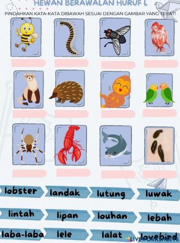 Drag & Drop Hewan Berawalan huruf L