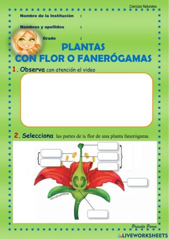 Proyecto 10 Ciencias Naturales