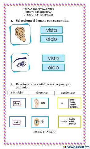 El sentido de la audición