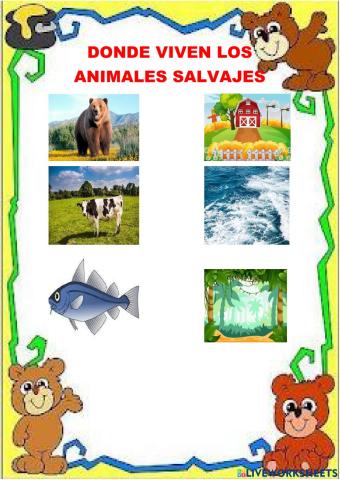 Animales salvajes