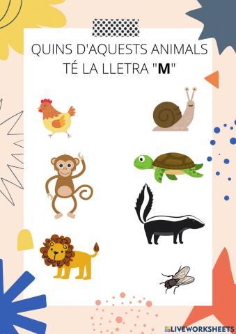 ANIMALS AMB LA LLETRA M
