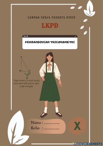Perbandingan Trigonometri kelas 10