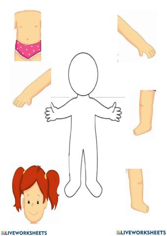 Parties du corps humain pour les enfants