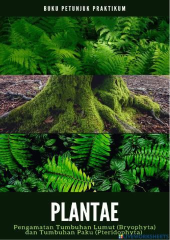 Plantae: Pengamatan Tumbuhan Lumut (Bryophyta) dan Tumbuhan Paku (Pteridophyta)