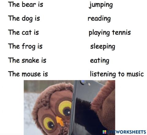 Mr Owl and his phone