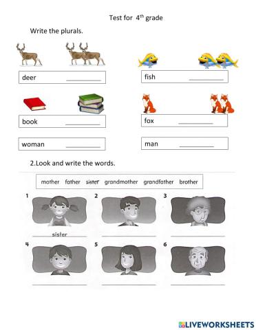 Test for 4th grade 