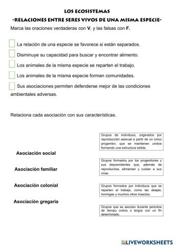 Relaciones entre seres vivos de una misma especie