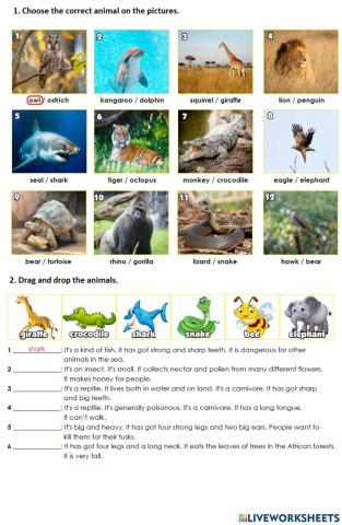 7th Grade Unit 4 - Find the Animals
