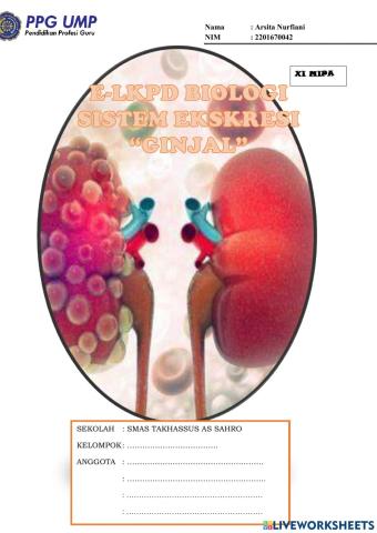 Lkpd ukin-sistem ekskresi ginjal
