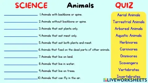 Animals