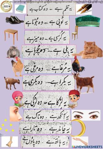 Speaking Urdu Test 5