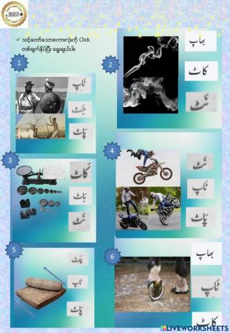 Urdu Lesson 12 Multiple Choice