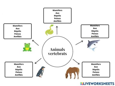 Els animals vertebrats
