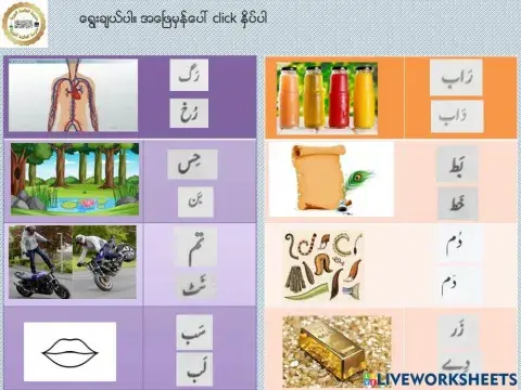 Multiple Choice Lesson 13 Words to know