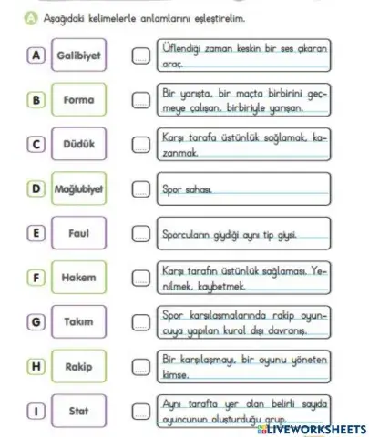 Keli̇me bi̇lgi̇si̇