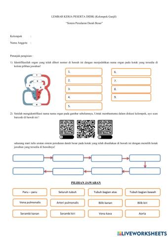 Sistem peredaran darah