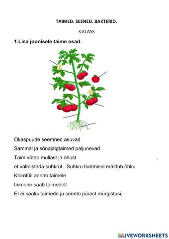 Taimed, seened, bakterid.