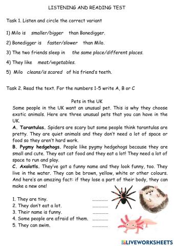 Listening and reading test