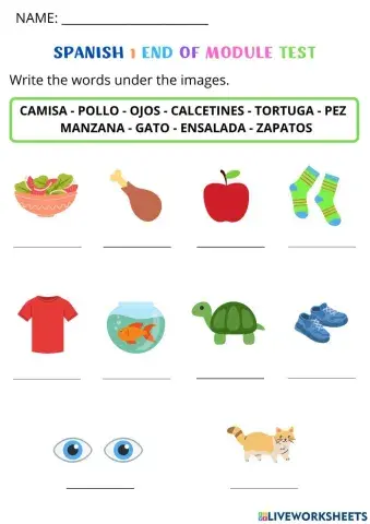 Spanish End of Module 1 Test