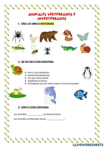 Animales Vertebrados e Invertebrados