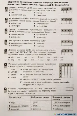 Збереження та реалізація спадкової інформації